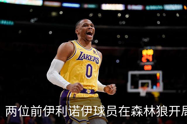 两位前伊利诺伊球员在森林狼开局抢眼，多苏穆场均12分香农13分