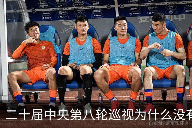 二十届中央第八轮巡视为什么没有公布巡视组名单和联系方式？