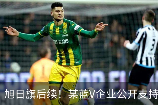 旭日旗后续！某蓝V企业公开支持“一起披”, 注销账号不是免罪金牌