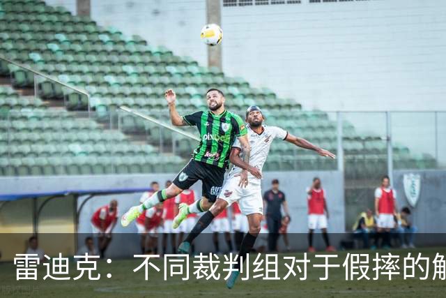 雷迪克：不同裁判组对于假摔的解读大相径庭 身体接触不是重点